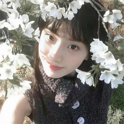 哦,我的宠妃大人2023